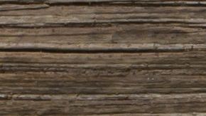 shutterstock_527366722