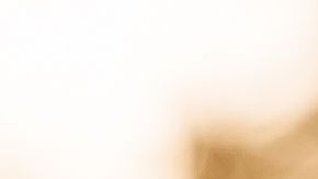 shutterstock_539919946