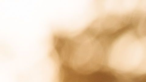 shutterstock_539919946