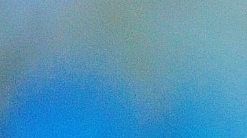 Los probióticos y prebióticos son clave en una microbiota fuerte y saludable.