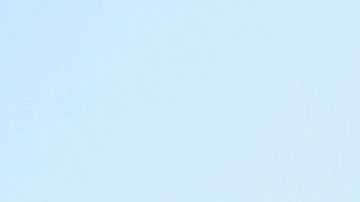 shutterstock_557005753