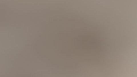 shutterstock_559549795