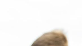 Los niños tienen un alto consumo de información a través de las redes sociales.