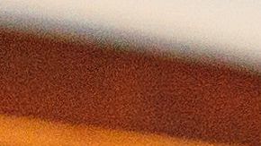 La dieta antiinflamatoria promueve la renovación celular y la eliminación de toxinas.