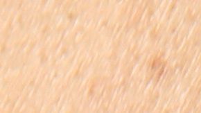 shutterstock_613097417