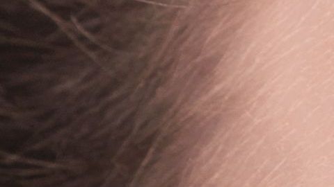 shutterstock_626859578