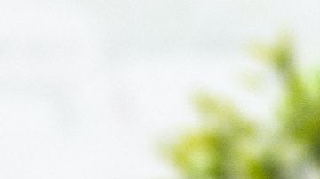 El sexo podría protegerte pero no es la cura.