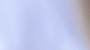 shutterstock_705067744