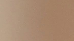 shutterstock_720055576