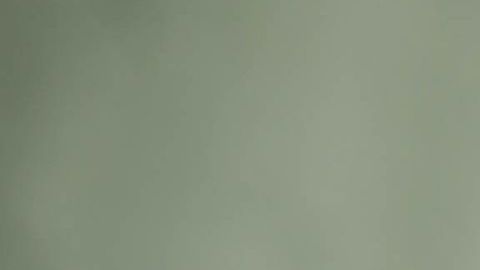 shutterstock_745644112