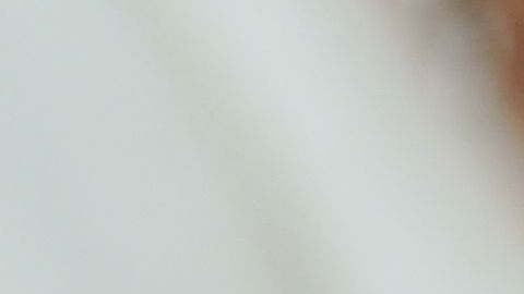 shutterstock_750657073