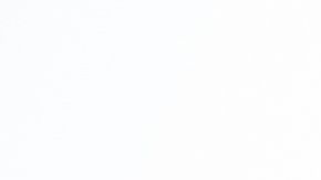 Una buena alimentación combinada con ejercicio refuerza su sistema inmune.