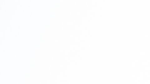 Una buena alimentación combinada con ejercicio refuerza su sistema inmune.