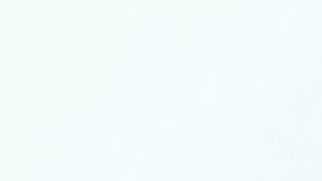 shutterstock_776838916