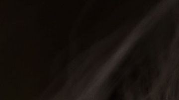 shutterstock_82716991