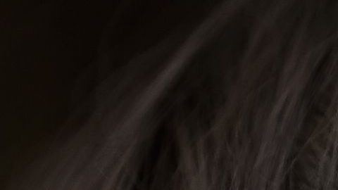 shutterstock_82716991