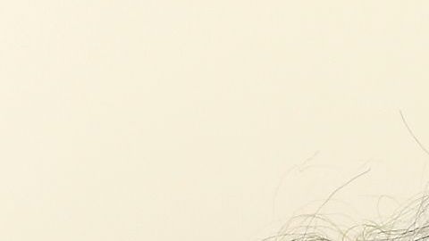 Llegar a los 90 o 100 años activos, con buena salud y emocionalmente bien, es un gran regalo.