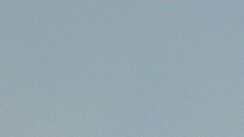 Siboldi tiene como líder general a Cruz Azul.