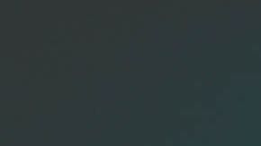 Las mujeres del zodiaco.