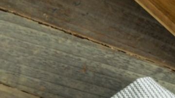 Sopa Frijol-bhofack2-Canva