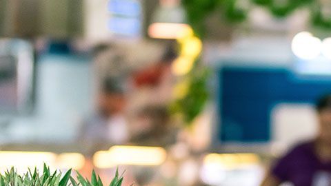 Puedes tomarte casi todo el tiempo que quieras para disfrutar de estos alimentos sin preocuparte demasiado por la fecha de caducidad.