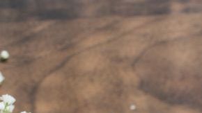 El té de hojas de guayaba es un extraordinario aliado digestivo.