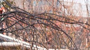 El COI dijo que estaba “contando con la responsabilidad y la solidaridad de los deportistas”.