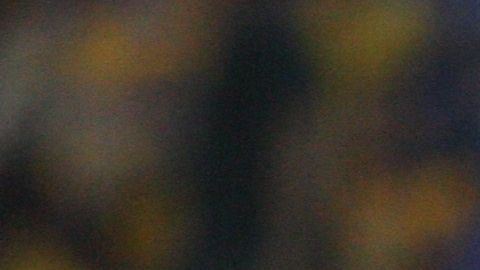 Jorge Torres Nilo, defensa de Tigres.