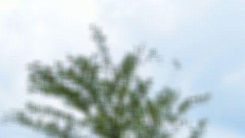 Evitar el contacto físico es uno de las razones que afectan la venta de casas.