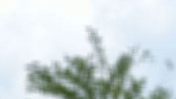 El lazo comercial que se genera entre vendedor y comprador se hace más estrecha con esta opción de compra.