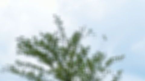 El lazo comercial que se genera entre vendedor y comprador se hace más estrecha con esta opción de compra.