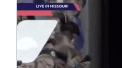 El video fue marcado con la etiquera "multimediamani pulada".