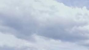 La Universidad de Houston.