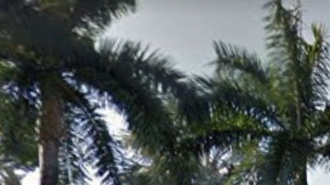 La Universidad de Miami ya ha tomado medidas para frenar el COVID-19.