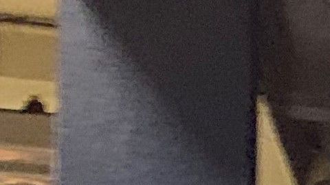 Debido a la emergencia por coronavirus, la cantidad de pasajeros en el Metro de Nueva York ha bajado 87%.