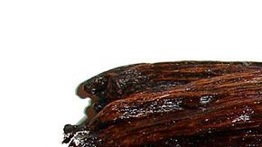 Es un ingrediente muy popular para elaborar diferentes productos en todo el mundo.