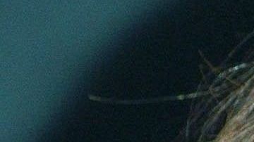 Vanessa Huppenkothen.