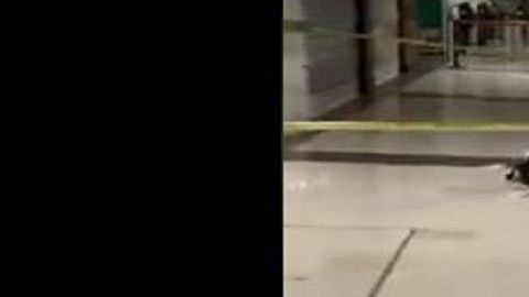 VIDEO: Balacera en aeropuero de Ciudad Juárez, una mujer muere del susto