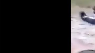 VIDEO: Dejan cuerpos de 8 con señales de tortura al estilo narco