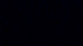 Los índices de la Bolsa no resisten el apagón del coronavirus./EFE