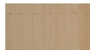 Anthony Ciccarelli en la corte