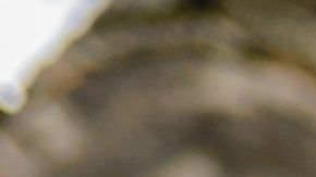 ¿Tu signo está entre los que dan segundas oportunidades?