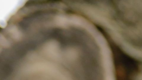 ¿Tu signo está entre los que dan segundas oportunidades?