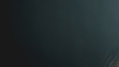 Toma nota de estos consejos para que mantengas la calma durante la pandemia.