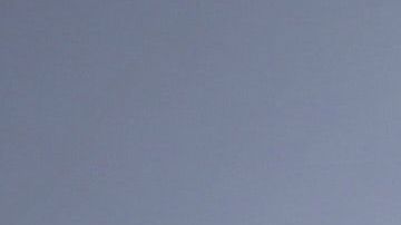 Aprovecha el poder de las flores amarillas.