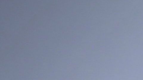 Aprovecha el poder de las flores amarillas.