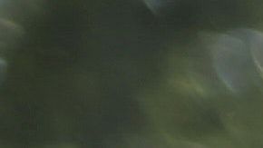 Hay signos más exitosos que otros.