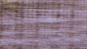 Tuna wrapsatún-burrito-Canva