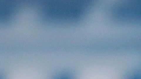 El presidente minimizó al principio la crisis que se aproximaba.