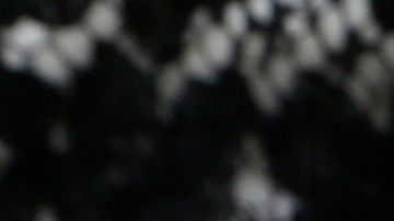 02/12/18 / LOS ANGELES/ Senior couple Mauro and Cuca Castaneda celebrate 71 years of marriage. (Photo by Aurelia Ventura/La Opinion)